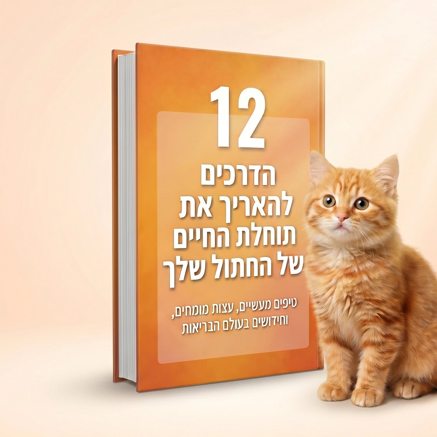 12 הדרכים להאריך את תוחלת החיים של החתול שלך (ספר דיגיטלי)