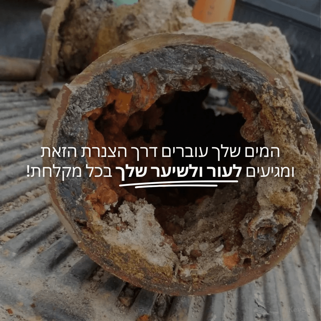 FilterHead - ראש מקלחת מסנן