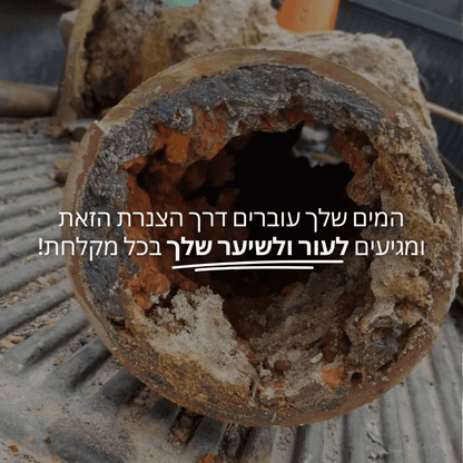 FilterHead - ראש מקלחת מסנן