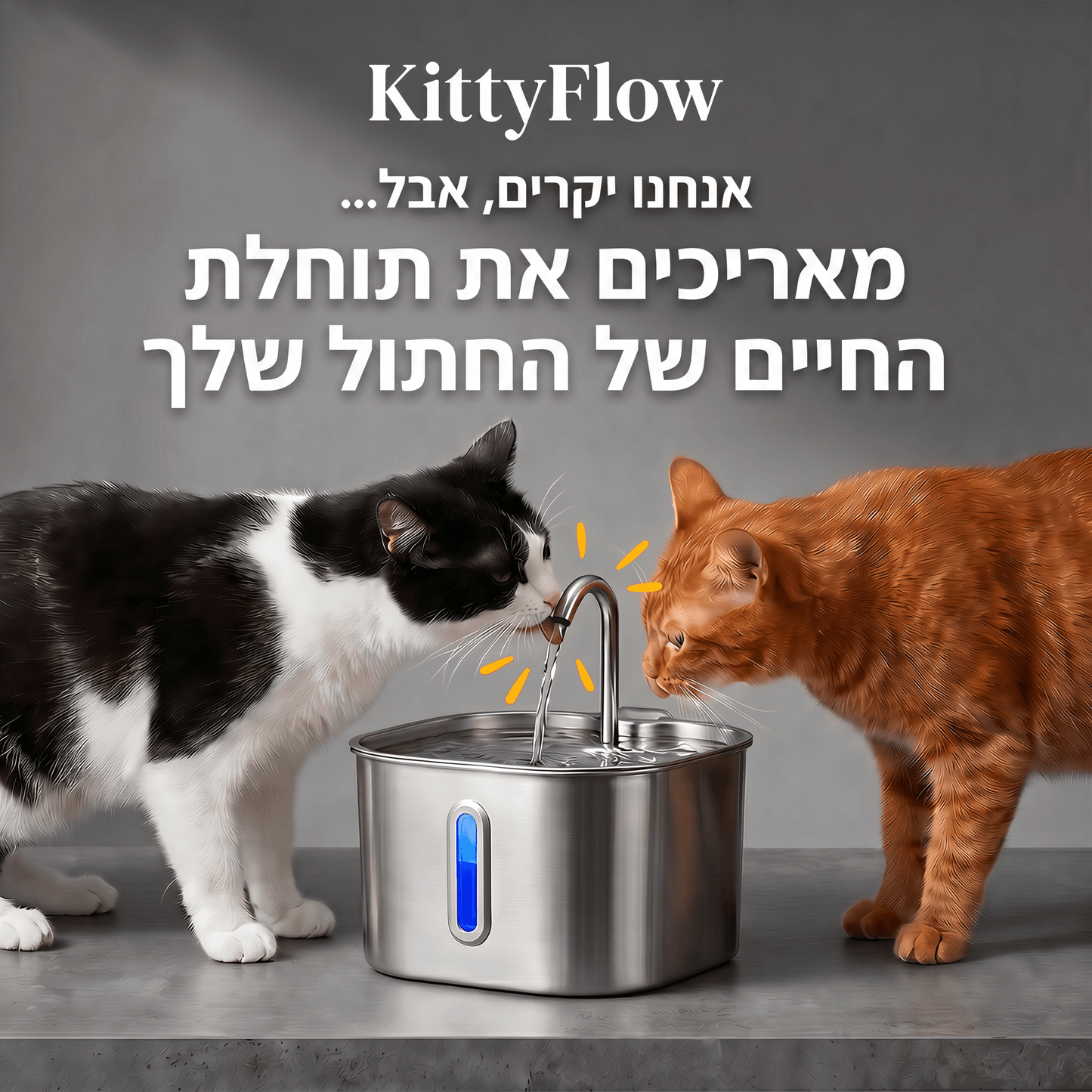 KittyFlow - מזרקת מים לחתול (Copy)