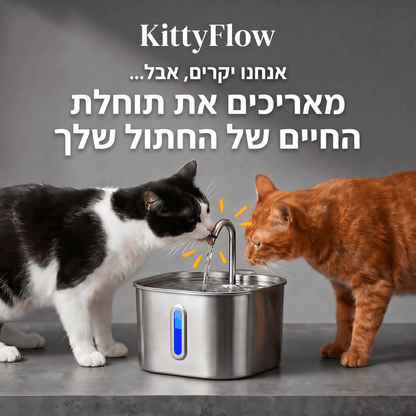 KittyFlow - מזרקת מים לחתול (Copy)