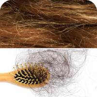 💇‍♀️ נזק לשיער